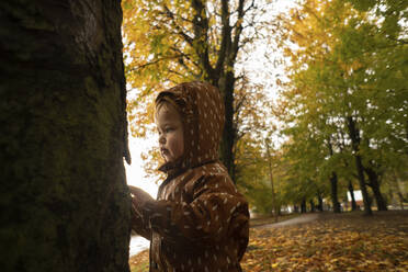Junge spielt unter Baum im Herbst Park - SSGF00149