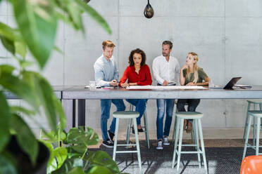 Coworker team checking business plan at conference table - DIGF16819