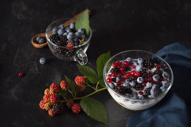 Healthy snack with various berries, from organic culture - CAVF94931