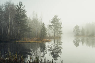 Kleiner schöner See an einem nebligen Herbsttag im Park. - CAVF94934