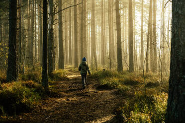 Boy in a jacket walking through the pine forest in the morning. - CAVF94935