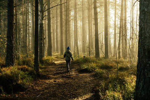 Junge in einer Jacke, der morgens durch den Kiefernwald läuft. - CAVF94935