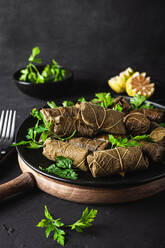 Palatable sarma with parsley lemon and fork and knife on dark background - ADSF31302