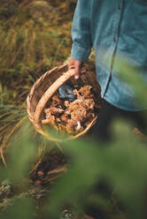 Hoher Winkel von Ernte unerkennbar weiblichen Tragen Weidenkorb mit essbaren Pilzen im Wald - ADSF31304