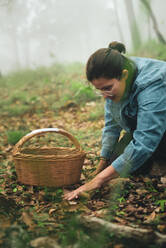 Eine Frau pflückt einen essbaren wilden Safran-Milchhut-Pilz aus dem mit trockenen Blättern bedeckten Boden und legt ihn in einen Weidenkorb - ADSF31315