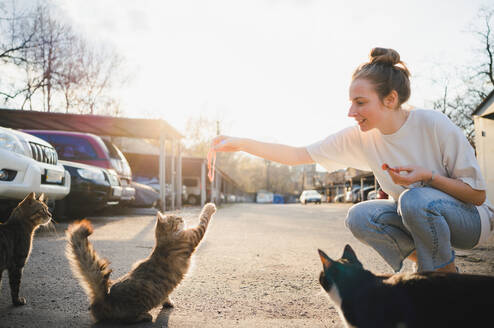 Vollkörper einer positiv gestimmten Frau, die auf den Hüften sitzt und hungrige Katzen auf der Straße füttert - ADSF31327