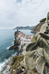 Dorf Vernazza an der italienischen Küste mit unscharfem Kaktusrahmen - CAVF95018