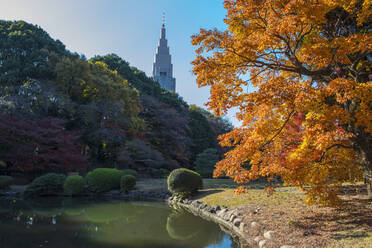Hochhaus von den Gärten Tokios aus gesehen - CAVF95039