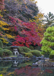 Bild eines abgelegenen Teichs in den Gärten von Tokio - CAVF95040