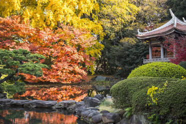 Bild einer abgelegenen Pagode in den Gärten von Tokio - CAVF95042