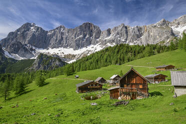 Neustattalm-Hütten auf einem landwirtschaftlichen Feld in der Steiermark, Österreich - ANSF00057