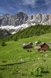 Neustattalm huts on green grass at Styria, Austria - ANSF00058