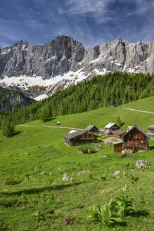 Neustattalm-Hütten auf grünem Gras in der Steiermark, Österreich - ANSF00058