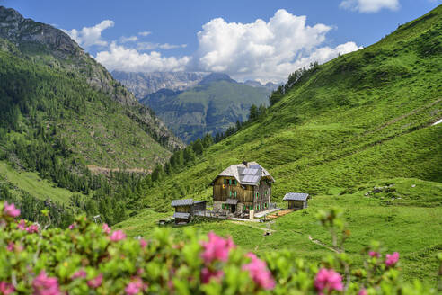 Mountain cabin on field at Carinthia, Austria - ANSF00084