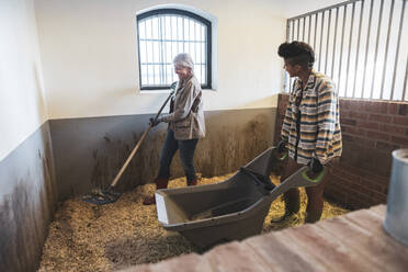 Landarbeiterinnen bei der Arbeit in der Scheune - MASF26412