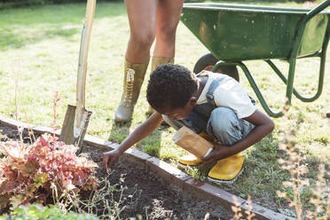 Junge sät Samen in die Erde bei der Gartenarbeit mit seiner Mutter - MASF26415