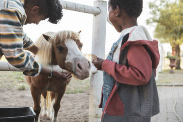 Mother with son stroking pony in farm - MASF26417