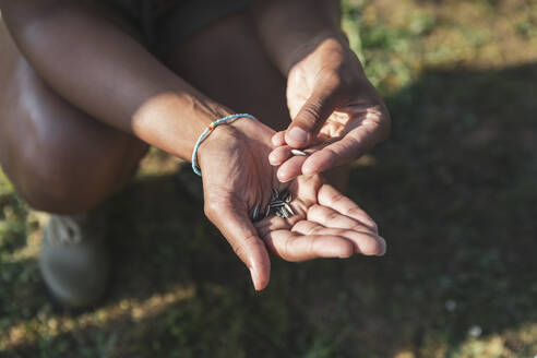 Ausgeschnittenes Bild von Händen mit Samen an einem sonnigen Tag - MASF26419