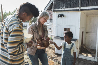 Boy feeding hen with grandmother and mother at farm - MASF26434