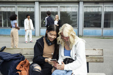 Freundinnen benutzen ihr Smartphone, während sie auf einer Bank sitzen - MASF26922