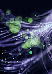 Grüne Glasfasern für die Datenübertragung im Internet - ABRF00926