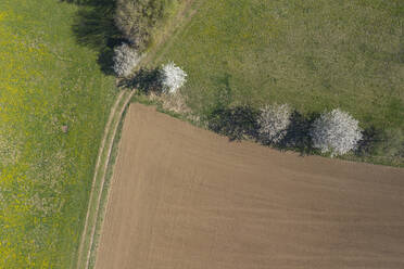 Drohnenansicht einer Ecke eines gepflügten Feldes im Frühling - RUEF03390