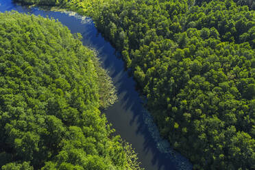 Drohnenansicht des Flusses Drosedower Bek im Sommer - RUEF03402