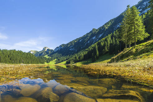 Ufer des Samtisersees im Alpsteingebirge im Sommer - STSF03083