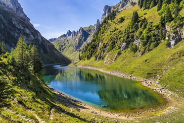 Falensee im Alpsteingebirge im Sommer - STSF03087