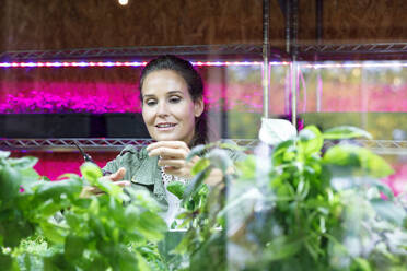 Smiling female owner with scissors in greenhouse - IFRF01199
