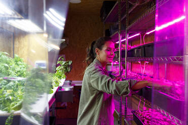 Smiling female entrepreneur touching plants in greenhouse - IFRF01206