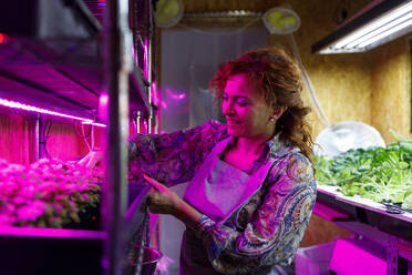 Smiling female owner wearing apron touching plants on shelf in greenhouse - IFRF01216