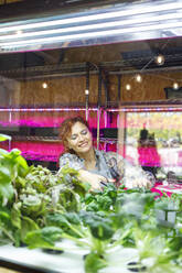 Female owner smiling while cutting plants in greenhouse - IFRF01218