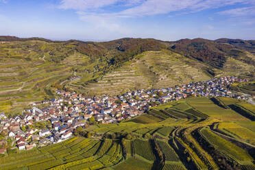 Deutschland, Baden-Württemberg, Vogtsburg im Kaiserstuhl, Luftaufnahme des Dorfes und der terrassierten Weinberge im Kaiserstuhl - WDF06668