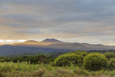 Wilsons Promontory National Park in der Abenddämmerung - FOF12247