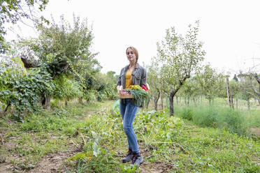 Young female farmer with vegetables amidst plants in garden  - EIF02295