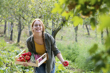 Glückliche Bäuerin mit Kiste und Tomate im Garten - EIF02314