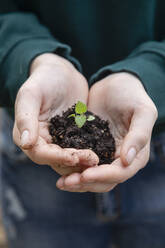 Female farmer with hands cupped holding plant with soil - EIF02316