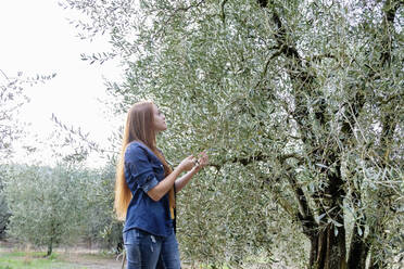 Junge Frau mit langen Haaren betrachtet einen Olivenbaum - EIF02331