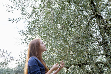 Lächelnde Frau mit Blick auf einen Olivenbaum - EIF02332