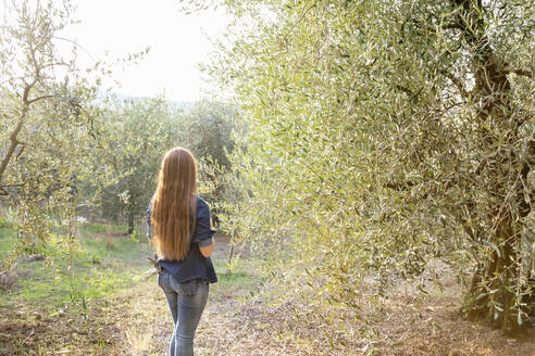 Junge Frau mit langen Haaren steht an einem Olivenhain - EIF02338