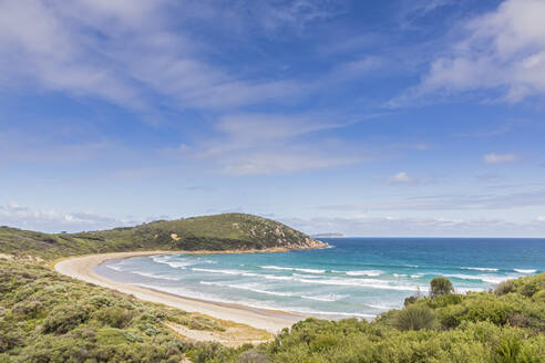 Picnic Bay Beach im Wilsons Promontory National Park - FOF12262