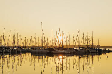 Germany, Saxony, Leipzig, Silhouettes of sailboats moored in Cospudener See lake marina at sunset - GWF07236