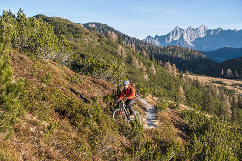 Mountainbiker beim Radfahren an einem sonnigen Tag - HHF05827