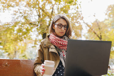 Freiberuflerin arbeitet am Laptop im Park - MRRF01656