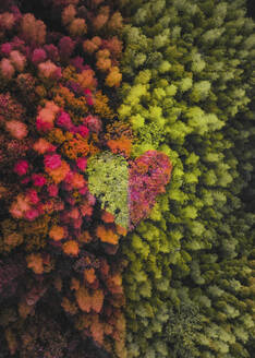 Aerial view of summer fall forest in Dong Village in Guizhou, China. - AAEF13237