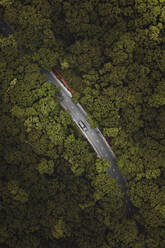 Luftaufnahme einer Straße tief im grünen Wald in Wladiwostok, Russland. - AAEF13243