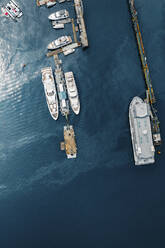Luftaufnahme von Segelbooten, die an der Bucht von Hongkong angedockt sind. - AAEF13258