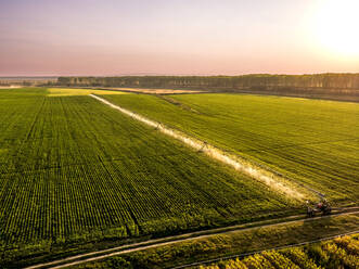 Luftaufnahme von landwirtschaftlichen Sprinklern zur Bewässerung eines großen Sojabohnenfeldes bei Sonnenaufgang - NOF00413