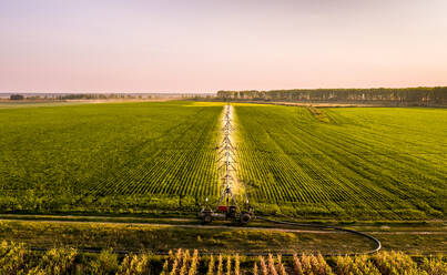 Luftaufnahme von landwirtschaftlichen Sprinklern zur Bewässerung eines großen Sojabohnenfeldes in der Morgendämmerung - NOF00414